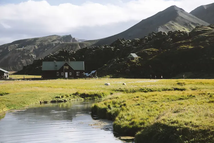 ICELAND
HORN TO HORN 2